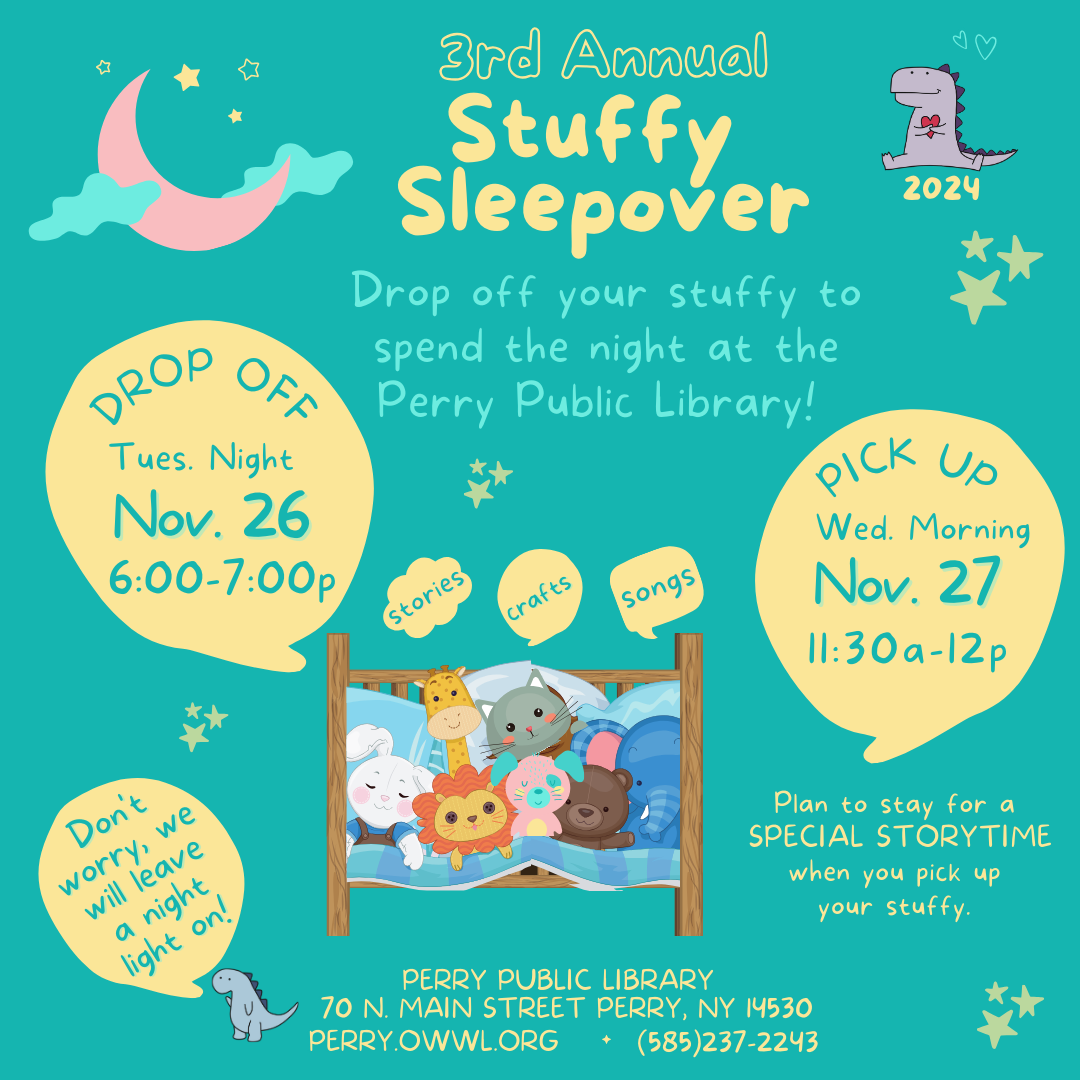 Stuffy Sleepover at the Library! 11/26-27/2024